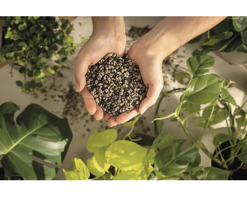 Deux mains tiennent un substrat minéral pour plantes au-dessus de diverses plantes d'intérieur vertes.