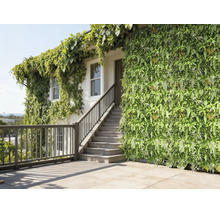 Vertikaler Garten mit künstlichen Pflanzen an einer Hausfassade neben einer Außentreppe.