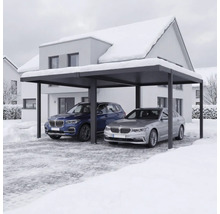 Carport double moderne en aluminium avec deux voitures dans un paysage hivernal enneigé devant une maison.