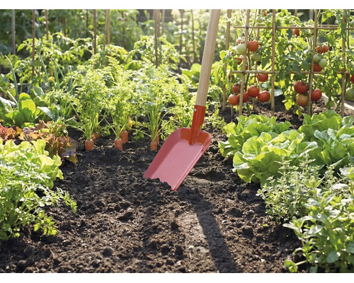 Rote Gartenschaufel mit Holzstiel steckt in dunkler Erde eines hellen Gemüsebeets mit Tomaten, Salat und Rüebli.