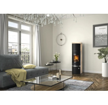 Poêle à bois moderne avec feu dans un salon avec canapé, table en verre et parquet.