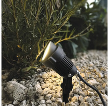 Projecteur de jardin LED avec piquet pour éclairage extérieur éclairant une plante dans un massif de gravier.