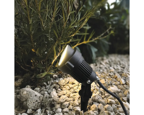Projecteur de jardin LED avec piquet pour éclairage extérieur éclairant une plante dans un massif de gravier.