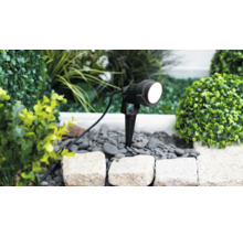 Projecteur de jardin à LED noir avec piquet dans un parterre lumineux avec des pierres grises, des pierres blanches et des plantes vertes.