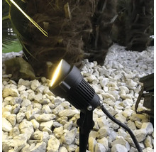 Projecteur de jardin à LED noir avec piquet dans un massif de pierres éclairant une plante avec une lumière chaude.