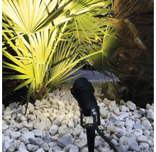 Projecteur de jardin noir avec piquet sur gravier, éclairant un palmier par le bas.