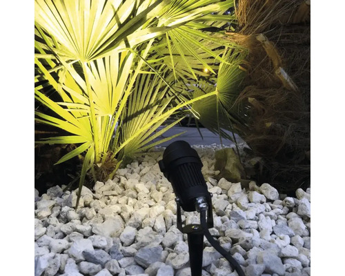 Projecteur de jardin noir avec piquet sur gravier, éclairant un palmier par le bas.