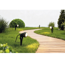 Projecteurs de jardin noirs avec piquet éclairant un chemin en bois courbé dans un jardin bien entretenu.