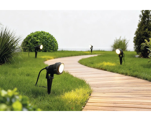 Projecteurs de jardin noirs avec piquet éclairant un chemin en bois courbé dans un jardin bien entretenu.