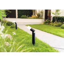 Deux spots d'extérieur noirs modernes avec tête réglable le long d'une allée de jardin sur la pelouse.