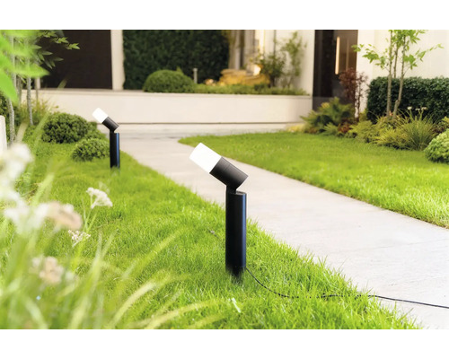 Deux spots d'extérieur noirs modernes avec tête réglable le long d'une allée de jardin sur la pelouse.