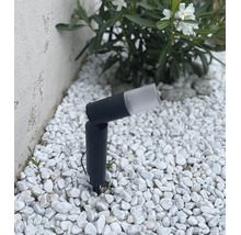 Projecteur de jardin noir avec piquet dans un lit de galets blancs à côté d'une plante à feuilles vertes devant un mur clair.