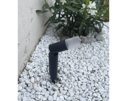 Projecteur de jardin noir avec piquet dans un lit de galets blancs à côté d'une plante à feuilles vertes devant un mur clair.