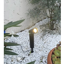 Un spot de jardin à LED anthracite avec piquet éclairant un parterre de gravier blanc avec des plantes devant un mur clair.