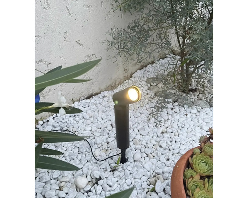 Un spot de jardin à LED anthracite avec piquet éclairant un parterre de gravier blanc avec des plantes devant un mur clair.