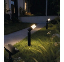 Spots de jardin solaires modernes éclairant un chemin la nuit, montés sur des piquets noirs dans la pelouse.