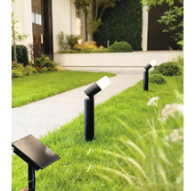 Bornes solaires noires avec tête réglable et panneau solaire séparé sur une pelouse à côté d un chemin de jardin.