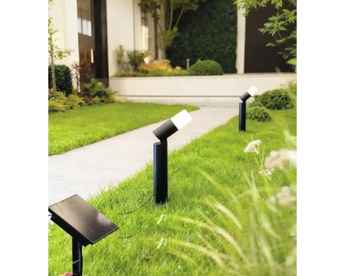 Bornes solaires noires avec tête réglable et panneau solaire séparé sur une pelouse à côté d un chemin de jardin.