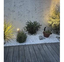 Jardin moderne avec terrasse en bois, gravier décoratif, plantes variées et un projecteur de jardin devant un mur crépi.