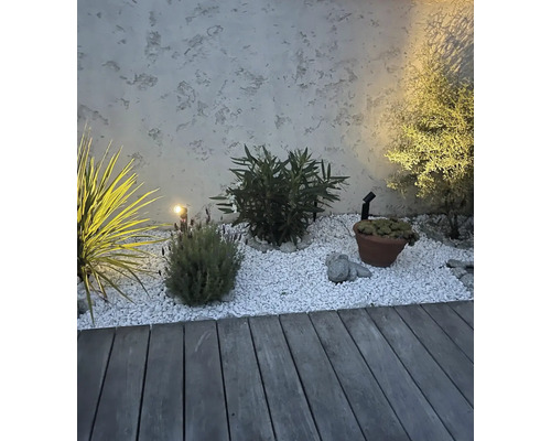 Jardin moderne avec terrasse en bois, gravier décoratif, plantes variées et un projecteur de jardin devant un mur crépi.