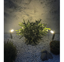 Projecteurs de jardin éclairant une plante dans un lit de gravier devant un mur texturé.