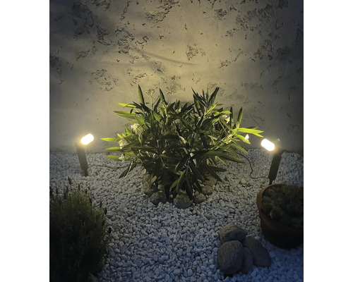 Projecteurs de jardin éclairant une plante dans un lit de gravier devant un mur texturé.