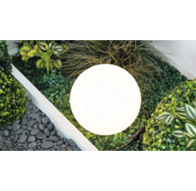 Lampe sphérique lumineuse dans un parterre de jardin avec diverses plantes vertes et des pierres décoratives.