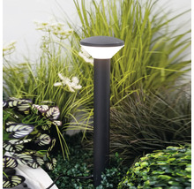 Borne lumineuse moderne dans un jardin parmi des plantes vertes et des herbes. Design élancé avec une tête lumineuse ronde.