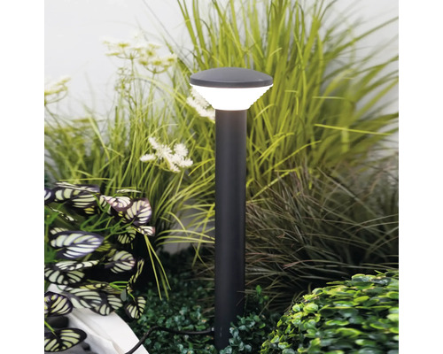 Borne lumineuse moderne dans un jardin parmi des plantes vertes et des herbes. Design élancé avec une tête lumineuse ronde.