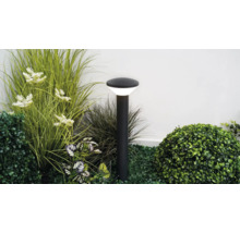 Borne lumineuse extérieure noire moderne installée parmi des plantes de jardin et des herbes, diffusant une lumière blanche vive.