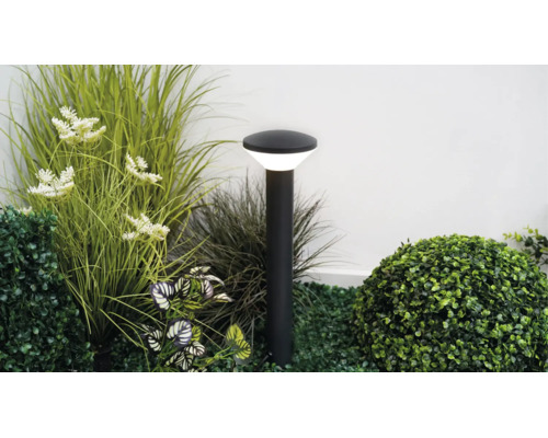 Borne lumineuse extérieure noire moderne installée parmi des plantes de jardin et des herbes, diffusant une lumière blanche vive.