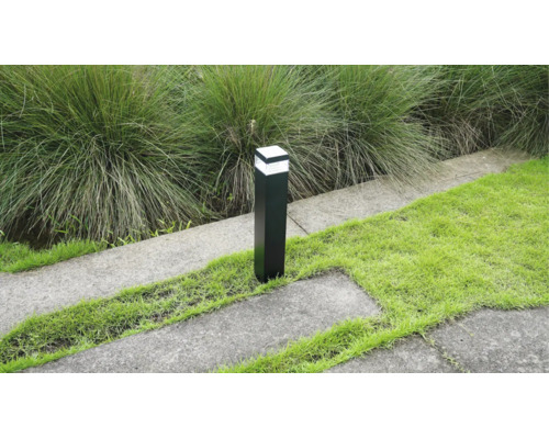 Borne lumineuse moderne noire sur gazon à côté de dalles en béton et graminées.