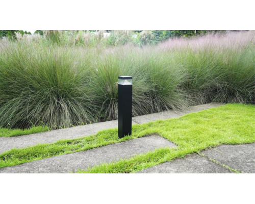 Borne lumineuse noire moderne dans un jardin au bord du chemin avec des herbes ornementales et de la pelouse.