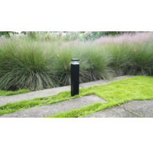 Borne lumineuse noire moderne dans un jardin au bord du chemin avec des herbes ornementales et de la pelouse.