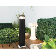 Borne lumineuse LED sur une terrasse en bois dans un jardin, entourée de plantes et d'une colonne de décoration.