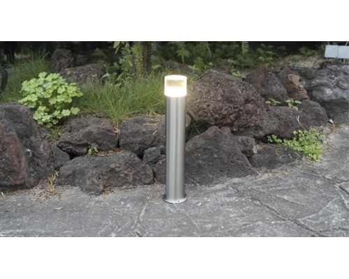 Borne d'éclairage extérieur cylindrique en acier inoxydable sur un chemin de pierre devant une rocaille avec des plantes.