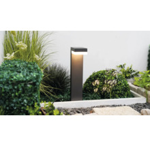 Borne d éclairage extérieur LED moderne dans un parterre de jardin avec diverses plantes vertes, du buis et des gravillons décoratifs.