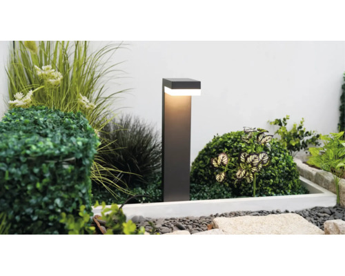 Borne d éclairage extérieur LED moderne dans un parterre de jardin avec diverses plantes vertes, du buis et des gravillons décoratifs.