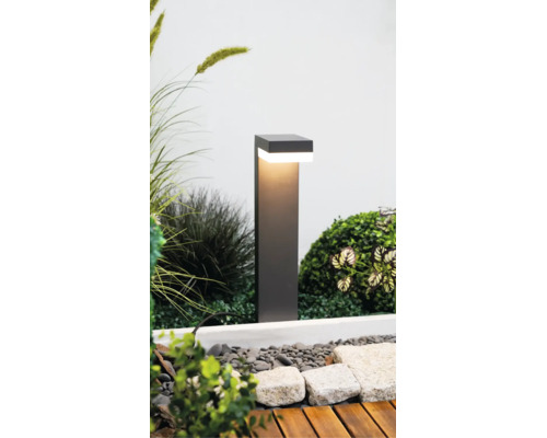 Borne lumineuse LED rectangulaire moderne dans un jardin entre herbes, pierres et terrasse en bois.