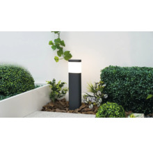 Borne lumineuse extérieure noire cylindrique éclairée dans un jardin avec du paillis d'écorce et des plantes.