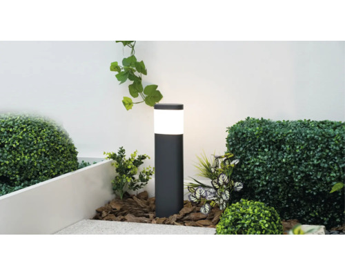 Borne lumineuse extérieure noire cylindrique éclairée dans un jardin avec du paillis d'écorce et des plantes.