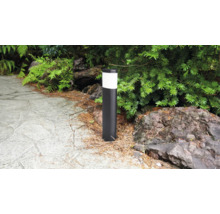Luminaire de chemin cylindrique moderne dans un jardin à côté d'une allée pavée et d'arbustes.