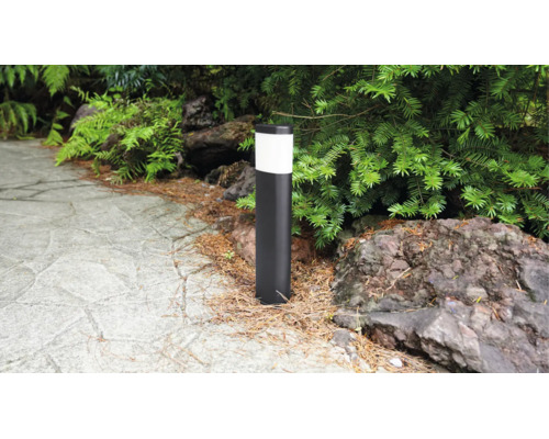 Luminaire de chemin cylindrique moderne dans un jardin à côté d'une allée pavée et d'arbustes.