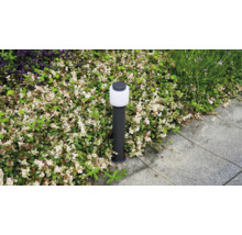 Borne lumineuse moderne dans un parterre de jardin à côté d'un chemin pavé pour l'éclairage extérieur.