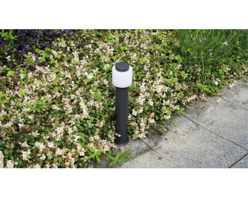 Borne lumineuse moderne dans un parterre de jardin à côté d'un chemin pavé pour l'éclairage extérieur.