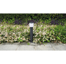 Borne lumineuse moderne en métal dans un massif de jardin à côté d'un chemin en pierre, entourée d'une végétation dense.