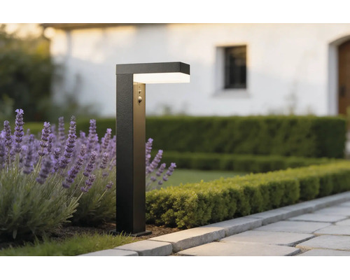 Borne d'éclairage extérieur moderne avec détecteur de mouvement, métal sombre, dans un jardin à côté de lavande et d'une haie basse.