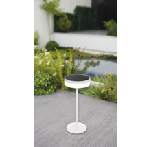Lampe solaire blanche moderne sur une terrasse en pierre dans un jardin lumineux avec des plantes et un bassin.