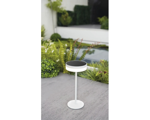 Lampe solaire blanche moderne sur une terrasse en pierre dans un jardin lumineux avec des plantes et un bassin.