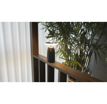 Lampe de table LED portable moderne sur une balustrade en bois foncé à côté de plantes vertes avec une lumière blanc chaud.